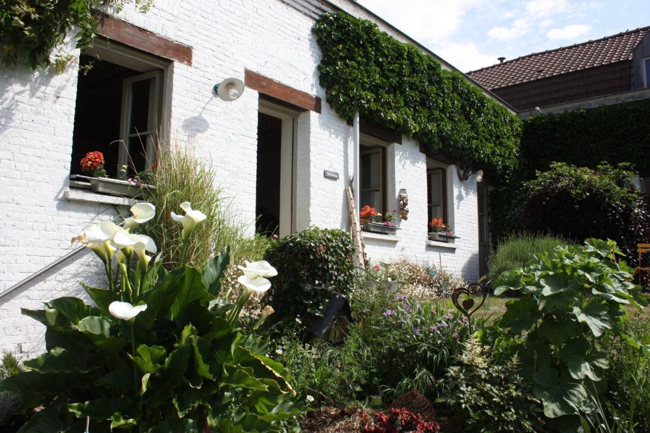 L'Atterrissage Bed & Breakfast Santes Екстериор снимка